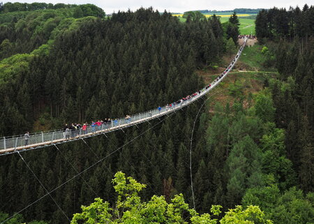 Geierlay Hängeseilbrücke