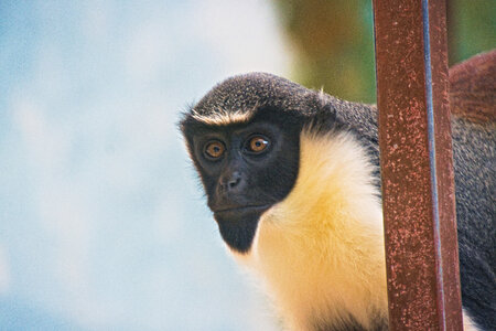 Tierpark Gettorf