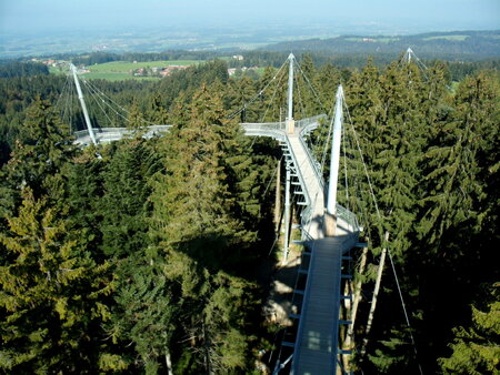 Waldwelt Skywalk Allgäu