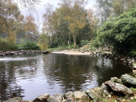 Aquazoo Friesland