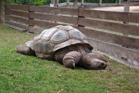 Zoologischer Garten