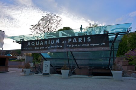 L'Aquarium