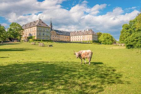 Wildpark Schloss Tambach