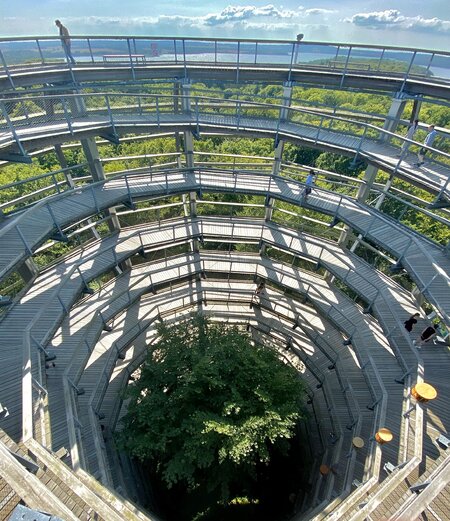 Baumwipfelpfad im Naturerbe Zentrum Rügen