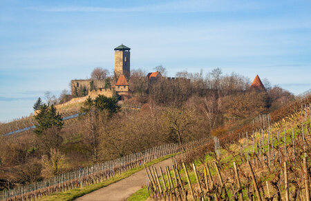 Burg Hohenbeilstein