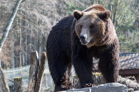 Wild- und Freizeitpark