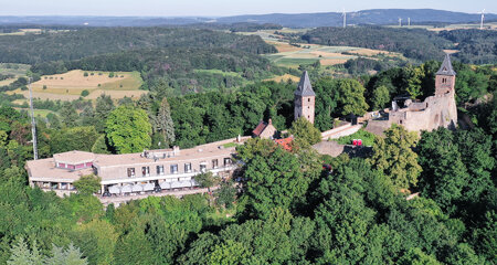 Burg Frankenstein