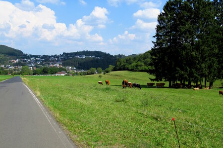 Wild-& Erlebnispark