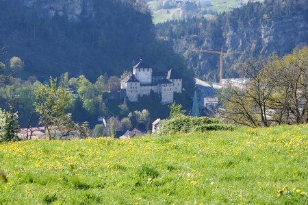 Wildpark Feldkirch