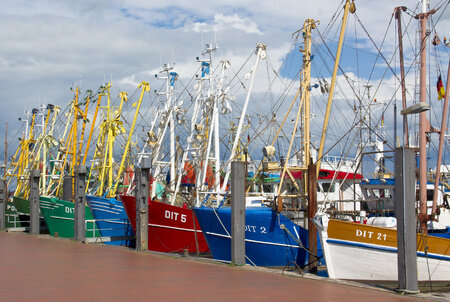 Ditzum Hafen