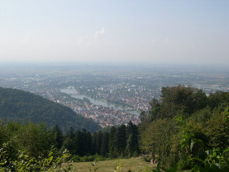 Königstuhl