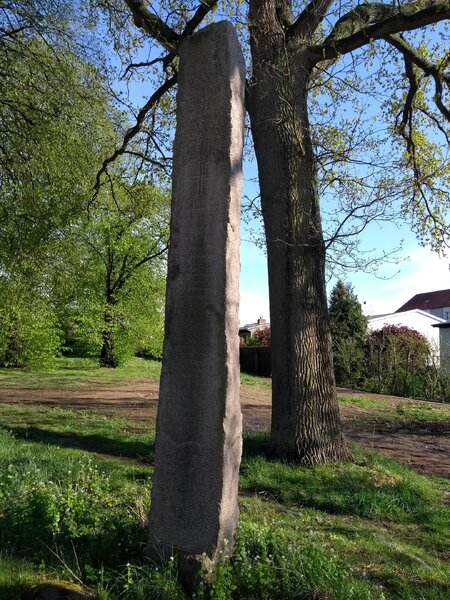 Schmetterlingswelt