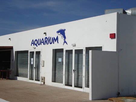 Lanzarote Aquarium