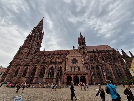Freiburger Münster