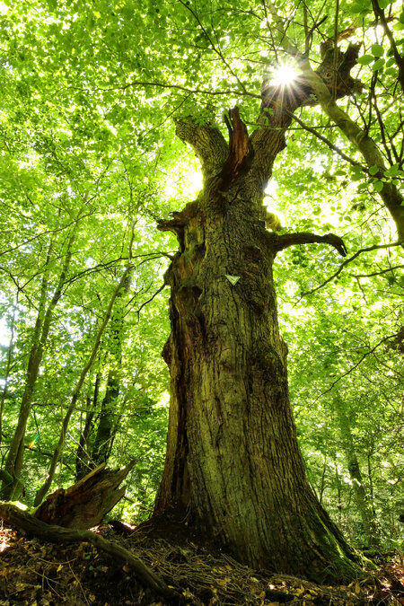 Tier-Erlebnispark