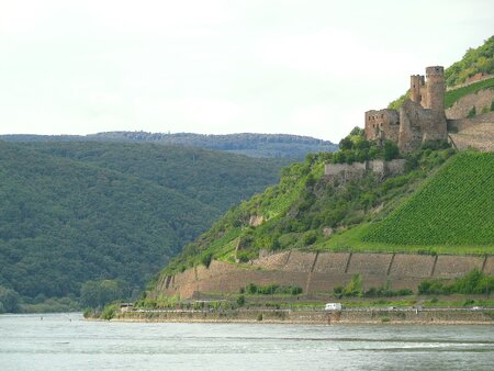 Rheinpromenade