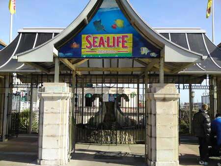 SEA LIFE Brighton