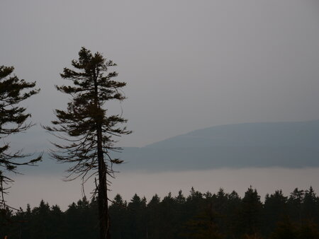 Wurmberg Braunlage